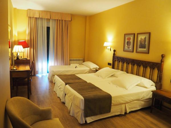 Hotel Ele Puente Romano de Salamanca : photo 3 de la chambre chambre triple