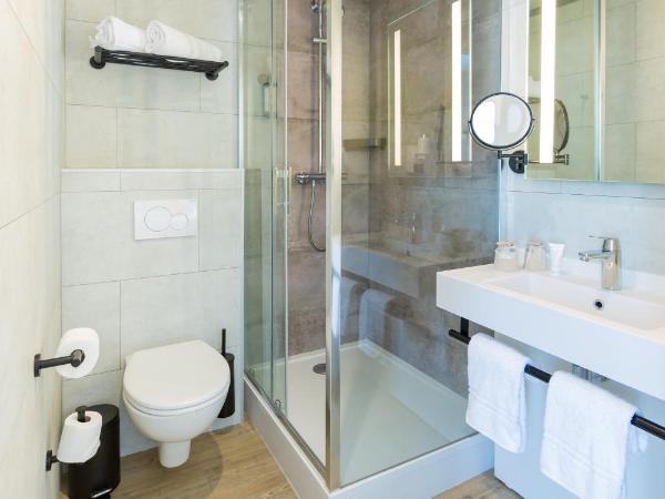 Best Western Mulhouse Salvator Centre : photo 3 de la chambre chambre double classique - non-fumeurs