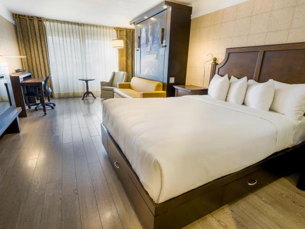 LHotelQuébec : photo 2 de la chambre chambre avec 2 lits queen-size - accessible aux personnes à mobilité réduite