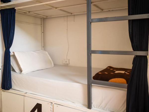 Dreamyard Udaipur : photo 5 de la chambre lit dans dortoir pour femmes de 6 lits