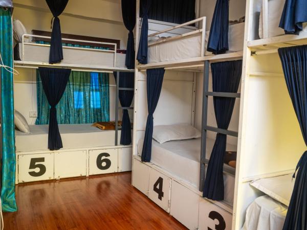 Dreamyard Udaipur : photo 6 de la chambre lit dans dortoir pour femmes de 6 lits