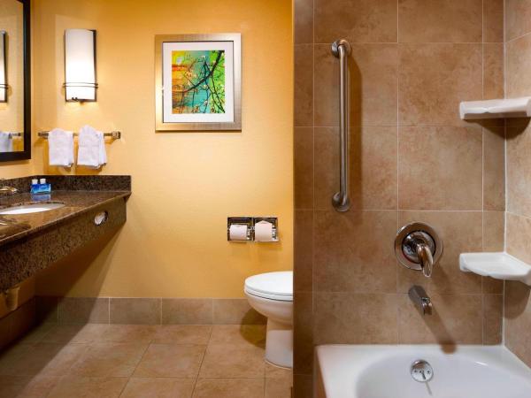 Fairfield Inn & Suites Houston Intercontinental Airport : photo 4 de la chambre chambre lit king-size