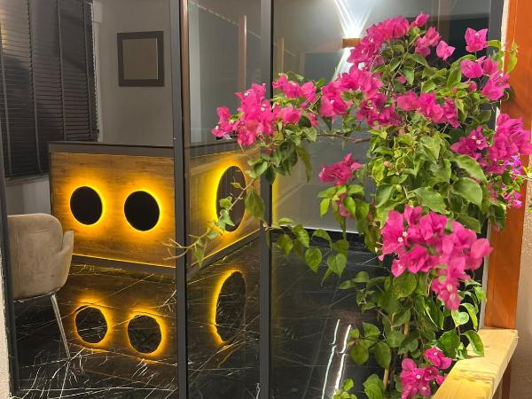 Asimado Hotel : photo 2 de la chambre chambre double