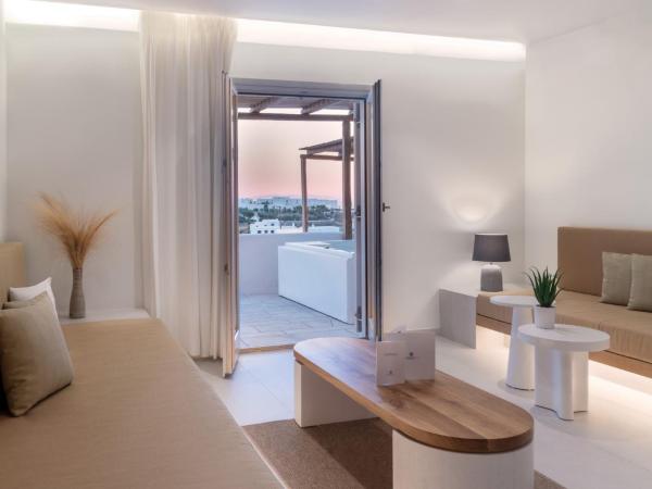 Andronikos Hotel : photo 2 de la chambre suite / sea view jacuzzi