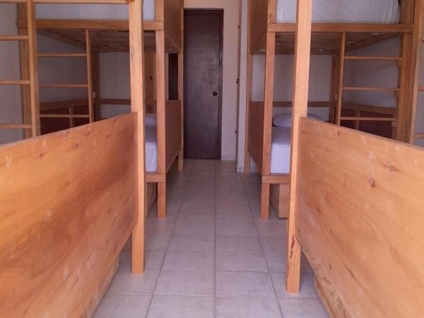 Xtabentun Hostal : photo 3 de la chambre lit superposé dans dortoir mixte