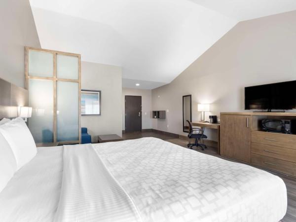 Best Western Plus Downtown North : photo 2 de la chambre suite lit king-size