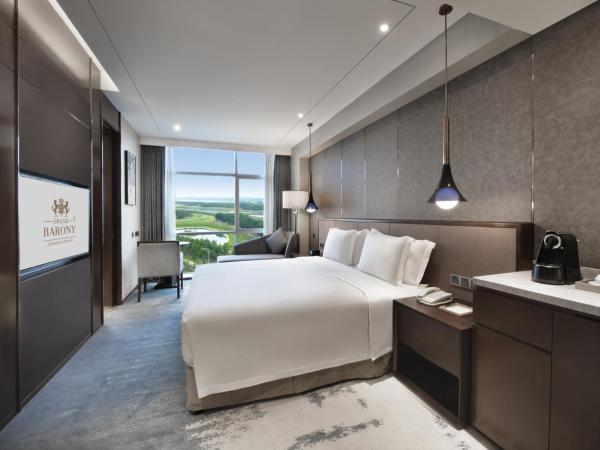 Grand Barony Qingdao Airport Hotel : photo 2 de la chambre 豪华大床房