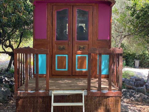 Les roulottes de Bayama - logement insolite avec jacuzzi : photo 2 de la chambre maison de vacances tzigane