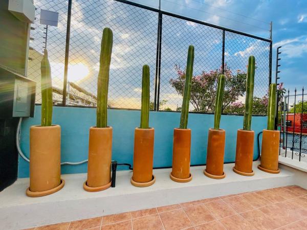 Suites Patio Antequera : photo 2 de la chambre chambre deluxe double ou lits jumeaux