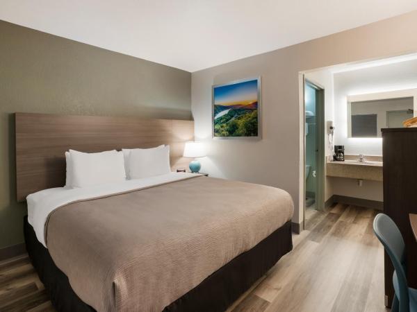 Quality Inn Elk Grove-Sacramento : photo 2 de la chambre chambre lit king-size - non-fumeurs