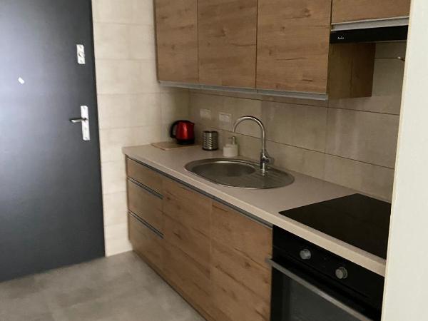 Mikro Aparty bezpłatny parking : photo 2 de la chambre studio familial