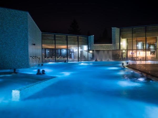 Hôtel Cailler & Bains de la Gruyère : photo 2 de la chambre suite junior – vue sur montagne