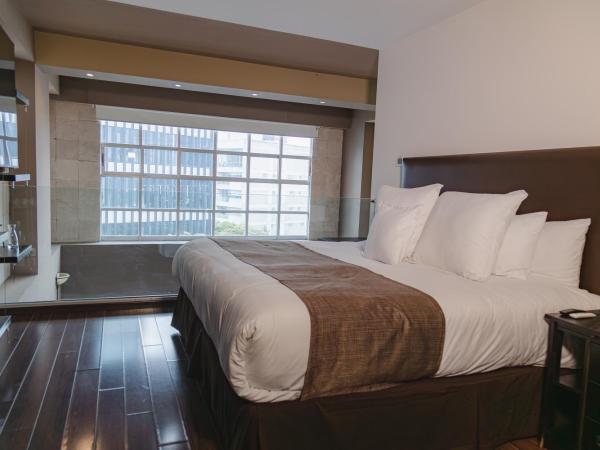 St Isidro Suites Corporate Housing SPA & Wellness Center : photo 2 de la chambre appartement 1 chambre présidentiel