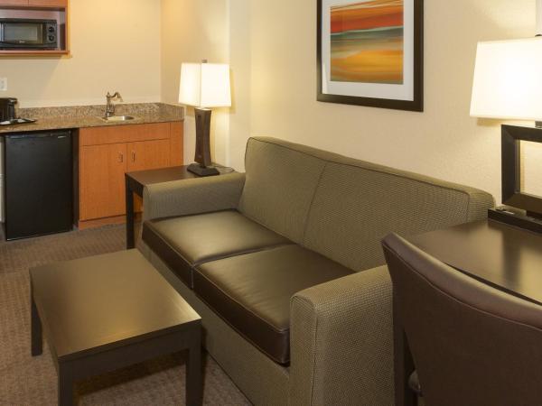 Holiday Inn Express Hotel & Suites Jacksonville Airport, an IHG Hotel : photo 4 de la chambre suite lit queen-size exécutive