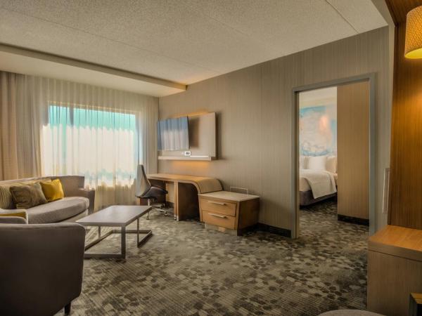 Courtyard by Marriott Winnipeg Airport : photo 2 de la chambre suite 1 chambre