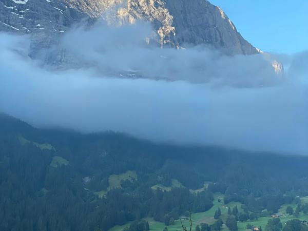 Jungfrau Lodge, Annex Crystal : photo 7 de la chambre chambre double