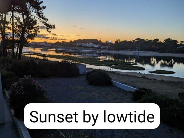 Waterfront one : photo 5 de la chambre chambre double avec terrasse