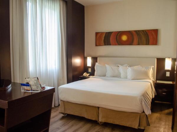 Royal Boutique Savassi Hotel : photo 1 de la chambre chambre double standard