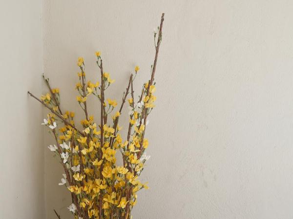 Rocamar Hotel Isla Mujeres : photo 8 de la chambre chambre - vue sur océan