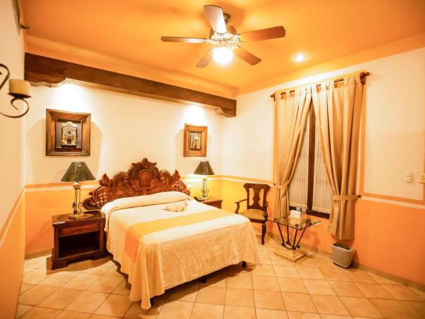 Hotel Boutique La Mision De Fray Diego : photo 1 de la chambre chambre standard avec 1 lit queen-size