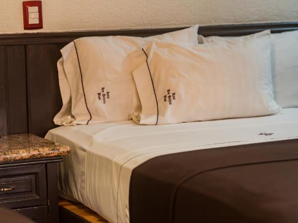 Hotel Don Quijote Plaza - Guadalajara Centro Historico : photo 4 de la chambre chambre double avec 2 lits doubles