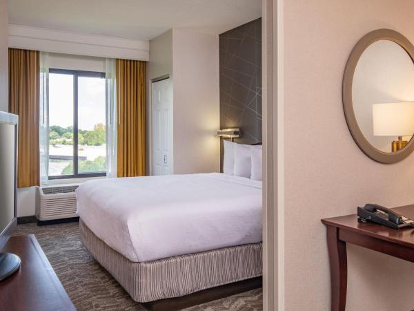 SpringHill Suites by Marriott Norfolk Virginia Beach : photo 1 de la chambre suite 1 lit king-size avec micro-ondes/mini-réfrigérateur, canapé-lit et salon