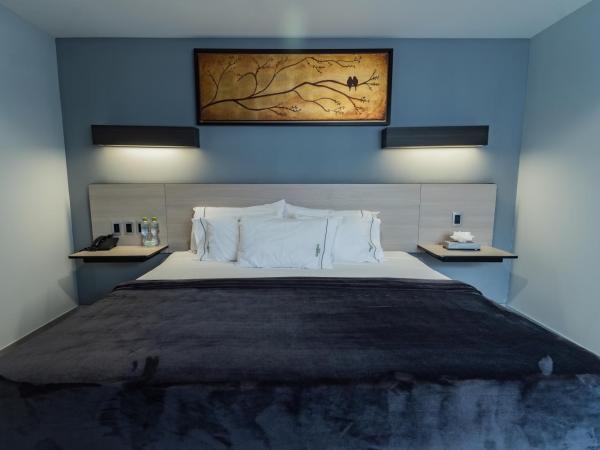 HOTEL LEMON GREEN -Zona Expo Frente al Centro de Convenciones : photo 3 de la chambre chambre double