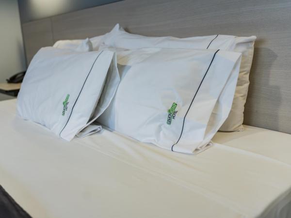 HOTEL LEMON GREEN -Zona Expo Frente al Centro de Convenciones : photo 6 de la chambre chambre double