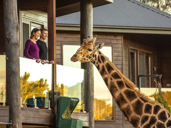 Jamala Wildlife Lodge : photo 4 de la chambre cabane dans les arbres girafe