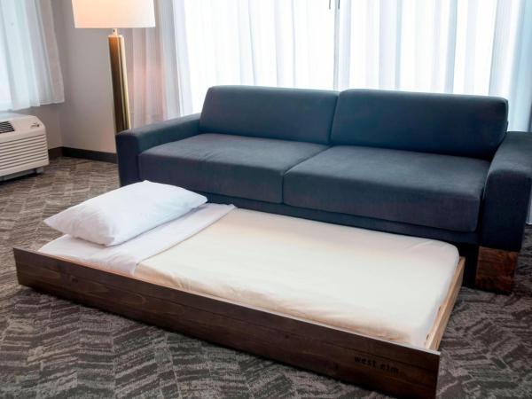 SpringHill Suites by Marriott Orlando Theme Parks Lake Buena Vista : photo 5 de la chambre suite lit king-size avec canapé-lit