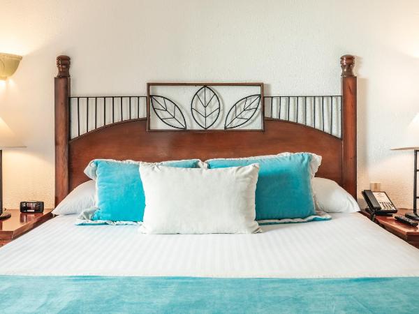 Marien Puerto Plata - All Inclusive : photo 4 de la chambre hébergement lit king-size deluxe - vue sur jardin