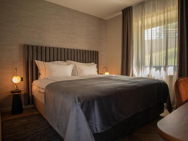 Hotel Republika : photo 2 de la chambre appartement 2 chambres supérieur avec accès extérieur - bâtiment annexe