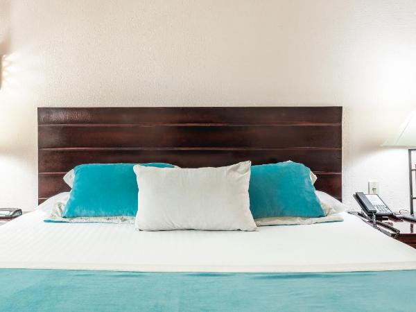 Marien Puerto Plata - All Inclusive : photo 4 de la chambre chambre lit king-size de luxe - vue sur océan