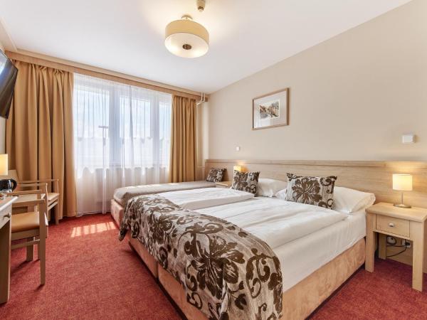 Wellness Hotel Step - Czech Leading Hotels : photo 4 de la chambre chambre triple standard avec accès au water world