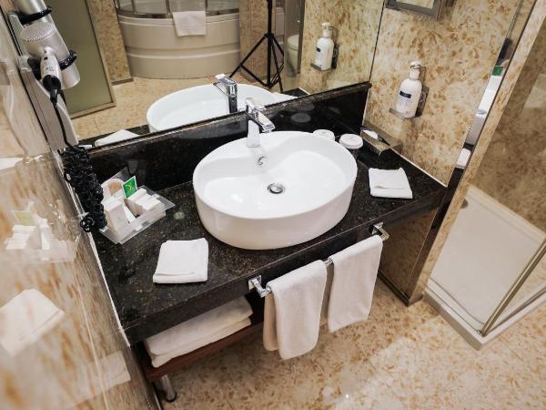 Holiday Inn Ankara-Kavaklidere, an IHG Hotel : photo 3 de la chambre chambre supérieure lits jumeaux