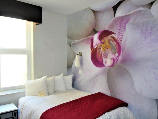 O Hotel by LuxUrban, Trademark Collection by Wyndham : photo 1 de la chambre chambre double - non-fumeurs