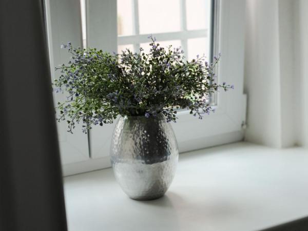 Wake Up Wellness Hostel : photo 6 de la chambre lit dans dortoir pour femmes de 4 lits