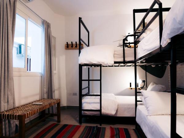 Selina Salta : photo 3 de la chambre lit dans un dortoir de 4 lits