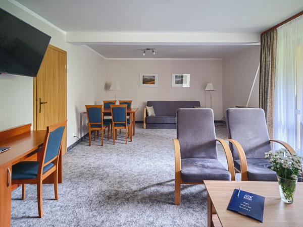 Zespół Dolina Białego - Pensjonat Biały Potok : photo 2 de la chambre studio familial