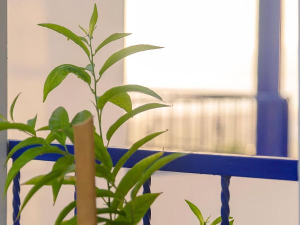 The Rina Hostel : photo 3 de la chambre chambre double avec salle de bains privative