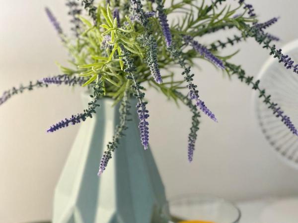 Anielewicza 26 Rooms : photo 4 de la chambre chambre simple