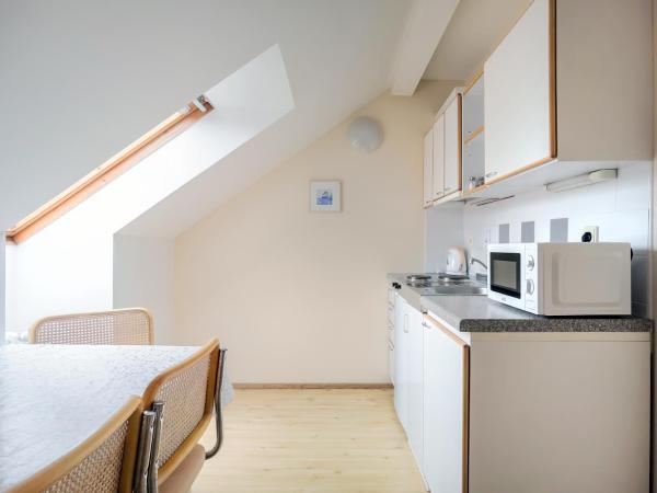 Hotel Orion : photo 7 de la chambre appartement 1 chambre