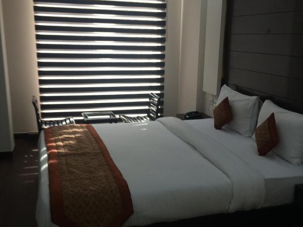 Hotel Kings Inn, Karol Bagh, New Delhi : photo 3 de la chambre chambre deluxe