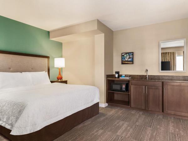 Hampton Inn and Suites New Orleans Convention Center : photo 3 de la chambre bureau lit king-size avec canapé-lit - non-fumeurs