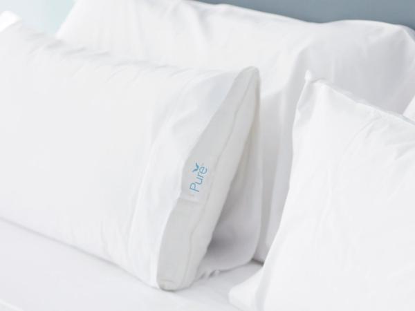 Courtyard Arlington Crystal City/Reagan National Airport : photo 2 de la chambre chambre anti-allergie pure© avec lit king-size et canapé-lit