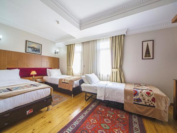 Apart Hotel Hippodrome : photo 1 de la chambre chambre triple standard