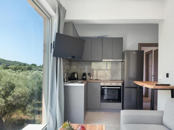 Robin's : photo 10 de la chambre appartement deluxe