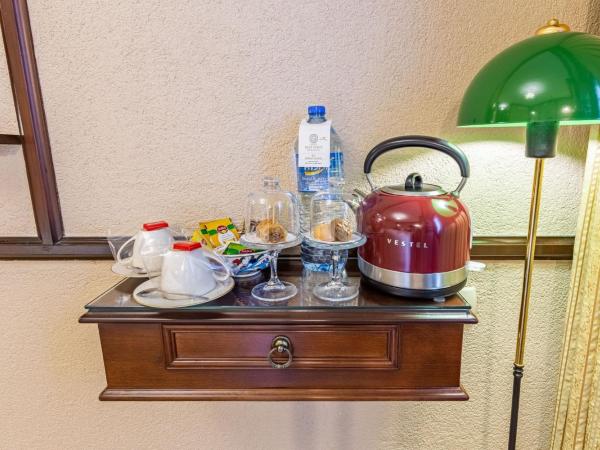 Best Point Hotel-Old City Sultanahmet : photo 10 de la chambre standard double or twin room 14m2