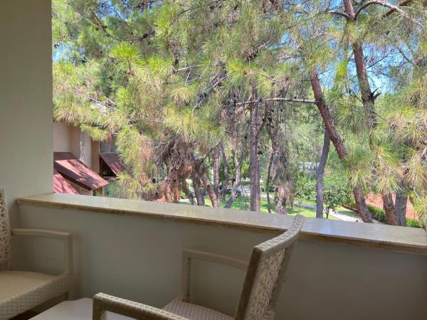 MIRADA DEL MAR HOTEL : photo 6 de la chambre chambre double - vue sur jardin