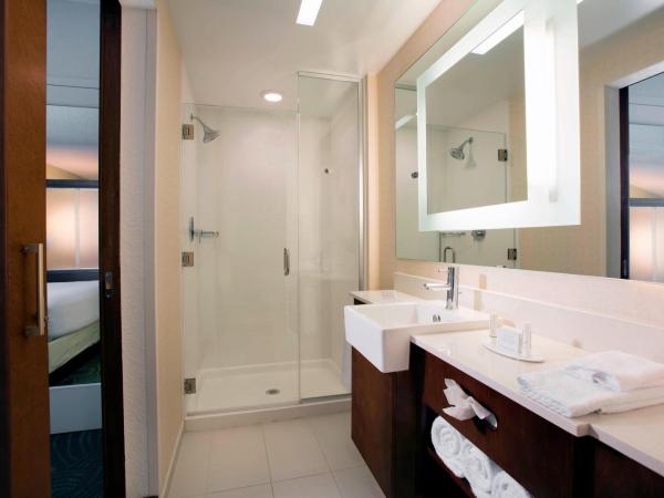 SpringHill Suites by Marriott Orlando at FLAMINGO CROSSINGS Town Center-Western Entrance : photo 5 de la chambre suite avec 2 lits queen-size et canapé-lit